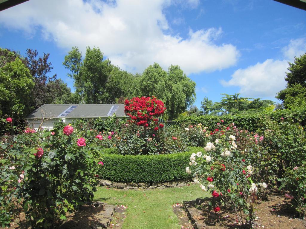 Bed and Breakfast Thyme Out Estate Halcombe Exteriér fotografie