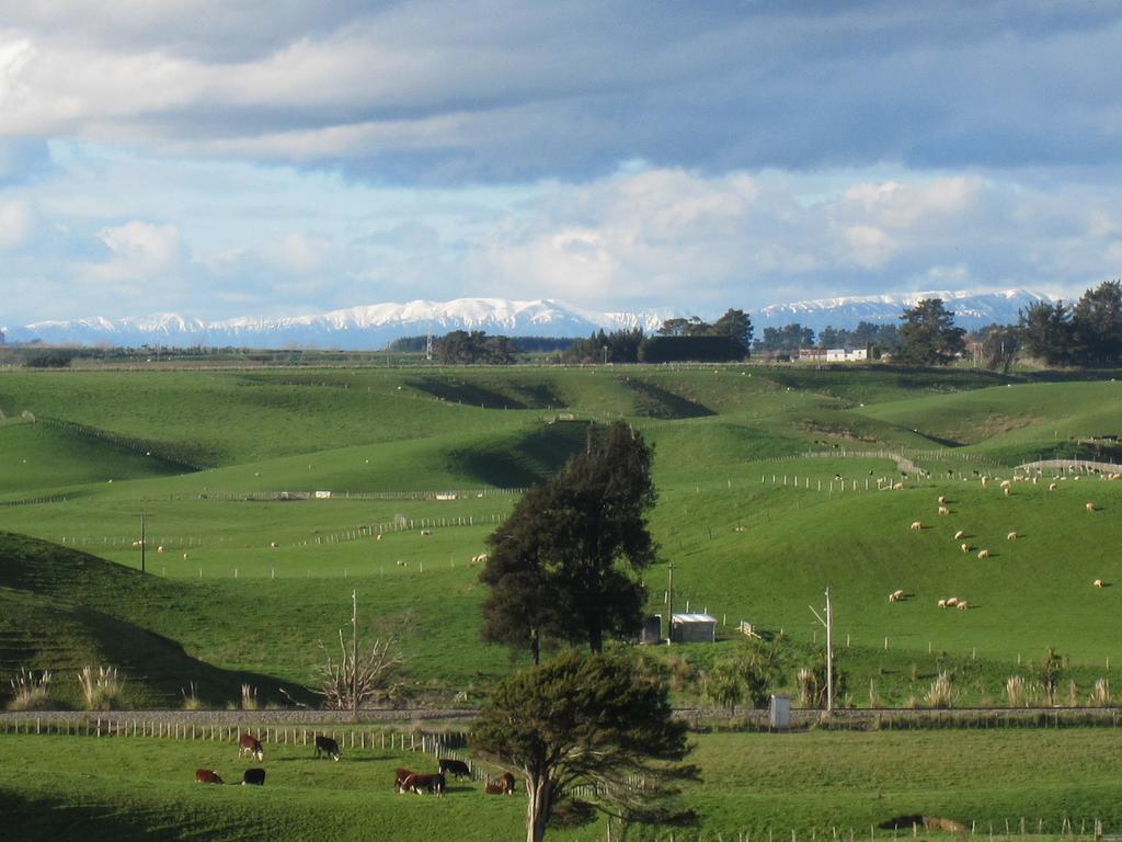 Bed and Breakfast Thyme Out Estate Halcombe Exteriér fotografie