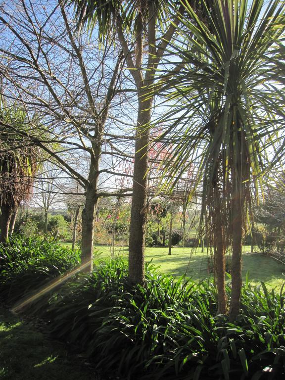 Bed and Breakfast Thyme Out Estate Halcombe Exteriér fotografie